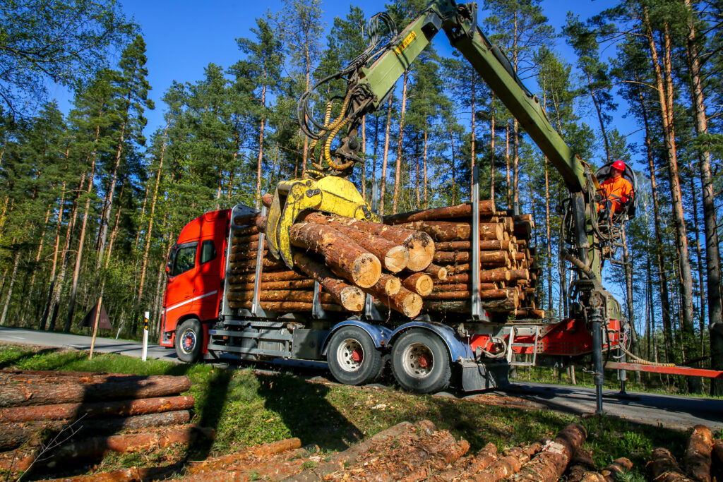 Crane in forest loading logs in the truck. Crane operator loading logs on to truck on a nice spring day. Timber harvesting and transportation in forest. Transport of forest logging industry and forestry industry.